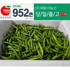 해돋이농산 국내산 청양고추 매운고추 못난이고추 1kg 2kg 3kg 5kg 10kg내외반홍(상세페이지참조), 1개