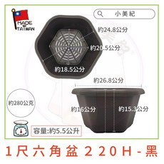 【小美紀】1尺六角盆 水盤（園藝資材）花盆 盆栽 園藝花器 種植用花盆 室內花盆 花架 多肉植物 小花盆 多肉 六角淺盆, 1尺六角盆-深棕色(單1入裝), 1個