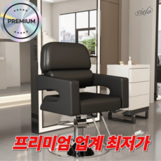 시엘로 미용실 의자 살롱 메이크업 회전 높이조절 스텐 받침대 체어, 1개, 01.기본블랙