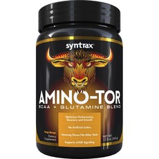 SYNTRAX Amino-Tor BCAA+glutamine保健食品 濃郁芒果口味, 1罐, 340g
