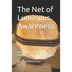 (英文圖書)The Net of Luminous Awareness: Reflections on Consciousness Intelligence and t... 平裝版, Independently Published, 英文