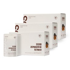 코코랩 리커버리 두유 차가버섯, 45개, 170ml