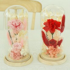거실 탁상용 유리돔조명 선물용 2p 수면등 침실 스승의날 장식품, 1개, isum 카네이션 장미 2송이 무드등 레드