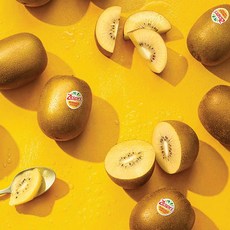 제스프리 썬골드 제주가 품은 고당도 골드키위, 30개, 골드키위(개당100g내외)