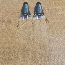 C4 Fins Ghost 幽靈 透明長蛙 自潛長蛙，透明設計視野廣闊，輕量舒適，限量僅8雙，推進力強勁，助您輕鬆探索水下世界, 現貨-鞋板*2