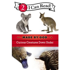 (영문도서) Curious Creatures Down Under: Level 2 Paperback, Zonderkidz, English, 9780310721871