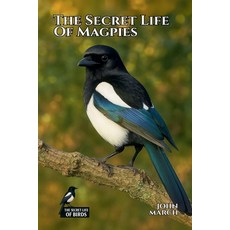 (영문도서)The Secret Life of Magpies Paperback, John March, English, 9798231216321