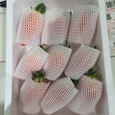 [새벽수확 아침발송] 딸기 논산 설향 생딸기 산지직송 고당도 800g내외, 1세트, [VVIP]킹스베리500g내외(한알당55g이상)