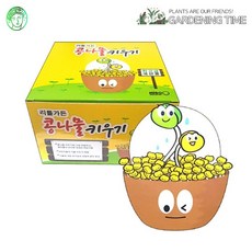 예스통상 <씨앗 식물 키우기 재배키트 50종> 모음전2 / 강낭콩키우기 토마토키우기 원예체험 텃밭가꾸기 새싹키우기