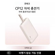 CukTech 10000mAh 보조배터리 30W PD 고속충전기, 데저트 골드 22.5W 자석 내장C