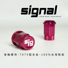 信閣諾Signal輕量化後輪螺母 MMBCU/DRG專用 後輪螺帽 輪圈螺絲 輕量化改裝 銀色 5入, 1個, 銀色 / 5入