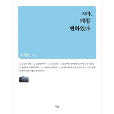 차마 깨칠 뻔하였다:철학자 김영민의 아포리즘, 늘봄, 김영민 저