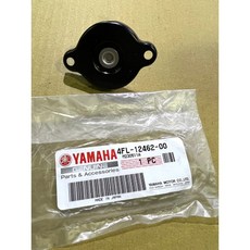 Yamaha XJ6 MT-09 原廠水箱蓋 4FL-12462-00 保護引擎冷卻系統 品質保證, 1個