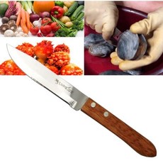 나무 손잡이 과도 과일칼 야채칼 목과도 미니lif3+2BrM