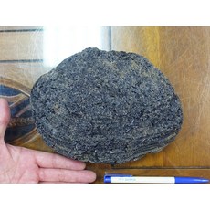 能量礦石 印尼隕石 Agni Manitite 火山玻璃 2896克 俗稱印尼天狼星 烈火石 黑隕石 古黑曜石