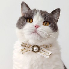 강아지 고양이 트위드 진주 목걸이 E017, 화이트, 1개