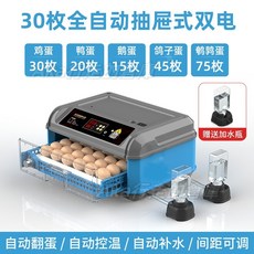 110V全自動蘆丁孵化機，小雞鴨鵝多用孵蛋器，智能恆溫均勻受熱，家用小型孵化箱, 1個, 30枚全自動（雙電+溫度+天數）