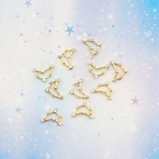 셀프네일 젤네일아트 염소자리 별자리 주얼리파츠, 10개 [낱개수량확인]