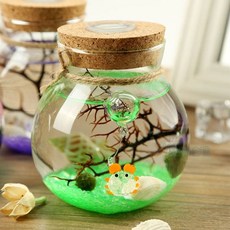 테라리움 화분 LED볼단지 350ml 마리모 어항 키우기, 선택완료