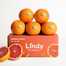 린디 레드자몽 수입 초신선 자몽, 1박스, 레드자몽=프리미엄, 수량=5입