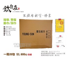 鈦自在 美容用不織布洞巾/臉巾/面巾, 1個