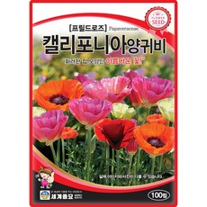 세계종묘 캘리포니아 양귀비 씨앗 100립 꽃양귀비 프릴드로즈 꽃씨 종자, 1개