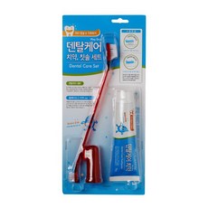 덴탈케어 치약 칫솔 세트 구강관리용품 강아지치석, 1개