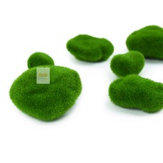 에이치앤엠샵 가짜 이끼 돌 10개입 장식용품