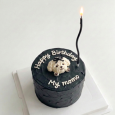 웨이브초 5팩 케이크초 생일초, 30개, 6g, 블랙