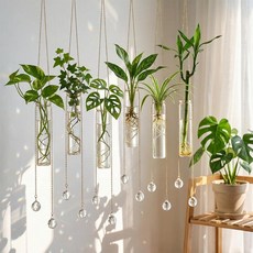 Hushee 6 Pcs Hanging Propagation Stations with Crystal Suncatcher Glass Wall Planters Indoor Plant, Hushee 6 Pcs Hanging Propagati