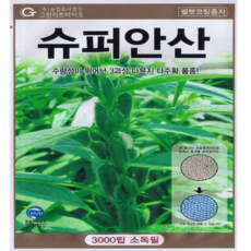슈퍼안산참깨씨앗 3000립 코팅참깨씨앗 가지참깨 수확량많음, 없음, 1개