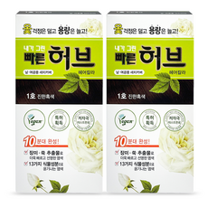 광동제약 내가 그린 빠른 허브 헤어칼라 셀프 염색약, 진한흑색 1호, 2개