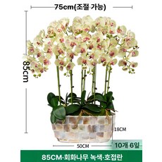 화분 꽃 장식품 호접란대형조화 취임난 개업축하 가짜 난초 꽃 인공, 쉘 화분 아카시아그린