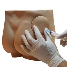 이박사 엉덩이 근육주사 실습모형