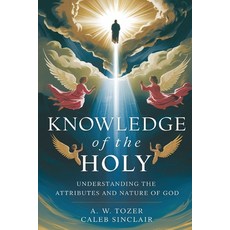 (영문도서)Knowledge of the Holy: Understanding the Attributes and Nature of God Paperback, Grapevine, English, 9789363114371