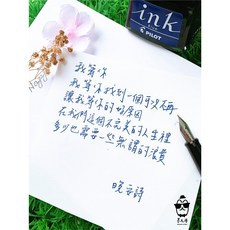 PILOT 百樂 鋼筆墨水 非碳素基本色 分裝瓶, 1個, 藍黑色,冷凍管(塑膠瓶), 藍黑色