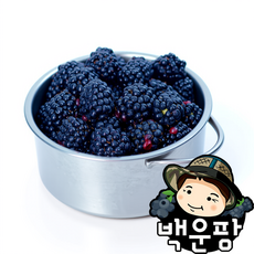 슈퍼 복분자 생과 급냉 3kg 1개