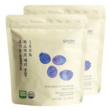 자연속의이야기 유기농 하스카프 베리 분말 100% 폴란드산 동결건조 C3G 안토시아닌, 30g, 2개