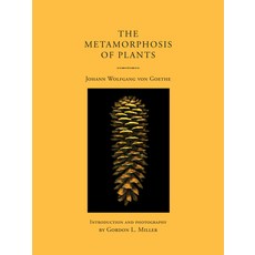 (영문도서) The Metamorphosis of Plants Paperback, MIT Press, English, 9780262551021