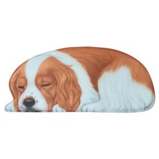 까마느 3D 강아지 고양이 방석 매트 바닥 욕실 주방 침실 베란다 현관 미끄럼방지 귀여운 다용도, N
