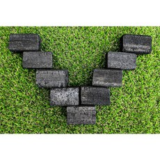 엄청 오래가는 백탄 비장탄 대나무참숯 9kg 6cm 컷팅, 1개