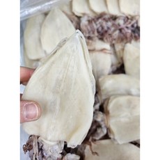 [웅이네] 귀제거 손질 건한치 AAA급 2S 마른한치, 1개, 1kg(50~60미)