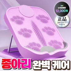 바디온케어 종아리 스트레칭 보드 레그릴렉서 발목 아킬레스건 햄스트링 운동, 퍼플