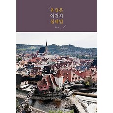 여전히 유럽은 설레임:이제는 제법 유럽이 보이기 시작한다!, 알비, 윤태호 글,사진