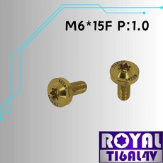 ROYAL 鈦合金 M6*15F P:1.0 飛碟頭螺絲, 1個