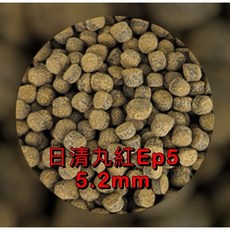 日清丸紅 EP5 飼料 金魚異形鼠魚專用, 1個, 日清EP5分裝包,1000克