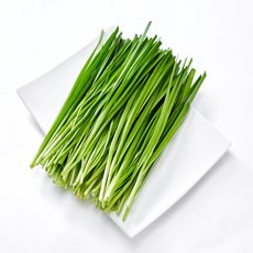일등농수산 정품 국내산 부추, 1개, 500g