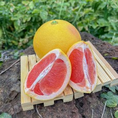 제주아꼼이네 제철 제주자몽 산지직송, 1박스, 가정용 3kg(10과전후)