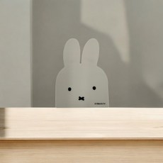 미피 정품 자석형 수세미 홀더 마그네틱 거치대 싱크대 정리용품, 1개, 화이트