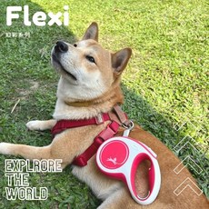 艾爾發寵物 德國 FLEXI 飛萊希 幻彩系列 帶狀伸縮牽繩 寵物牽繩 台灣總代理公司貨, 紅色,L, 1個